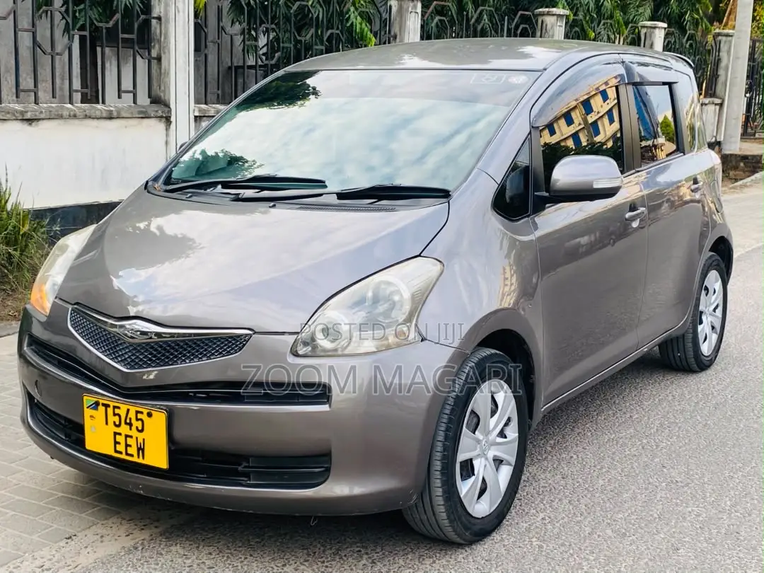 Toyota Ractis 2007 Gray