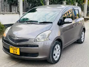 Toyota Ractis 2007 Gray