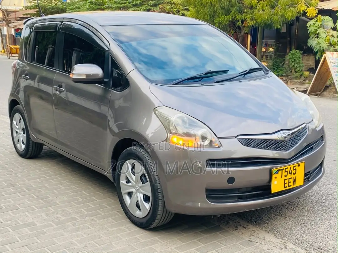 Toyota Ractis 2007 Gray