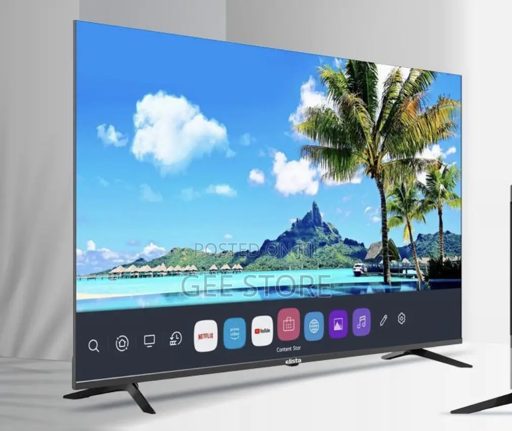 Elista Brand Smart TV Inch65