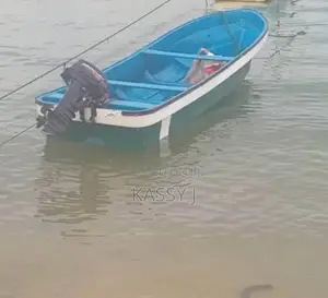 20 Ft Fiberglass Boat
