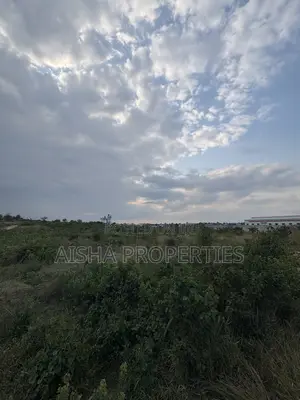 Plot for Sale