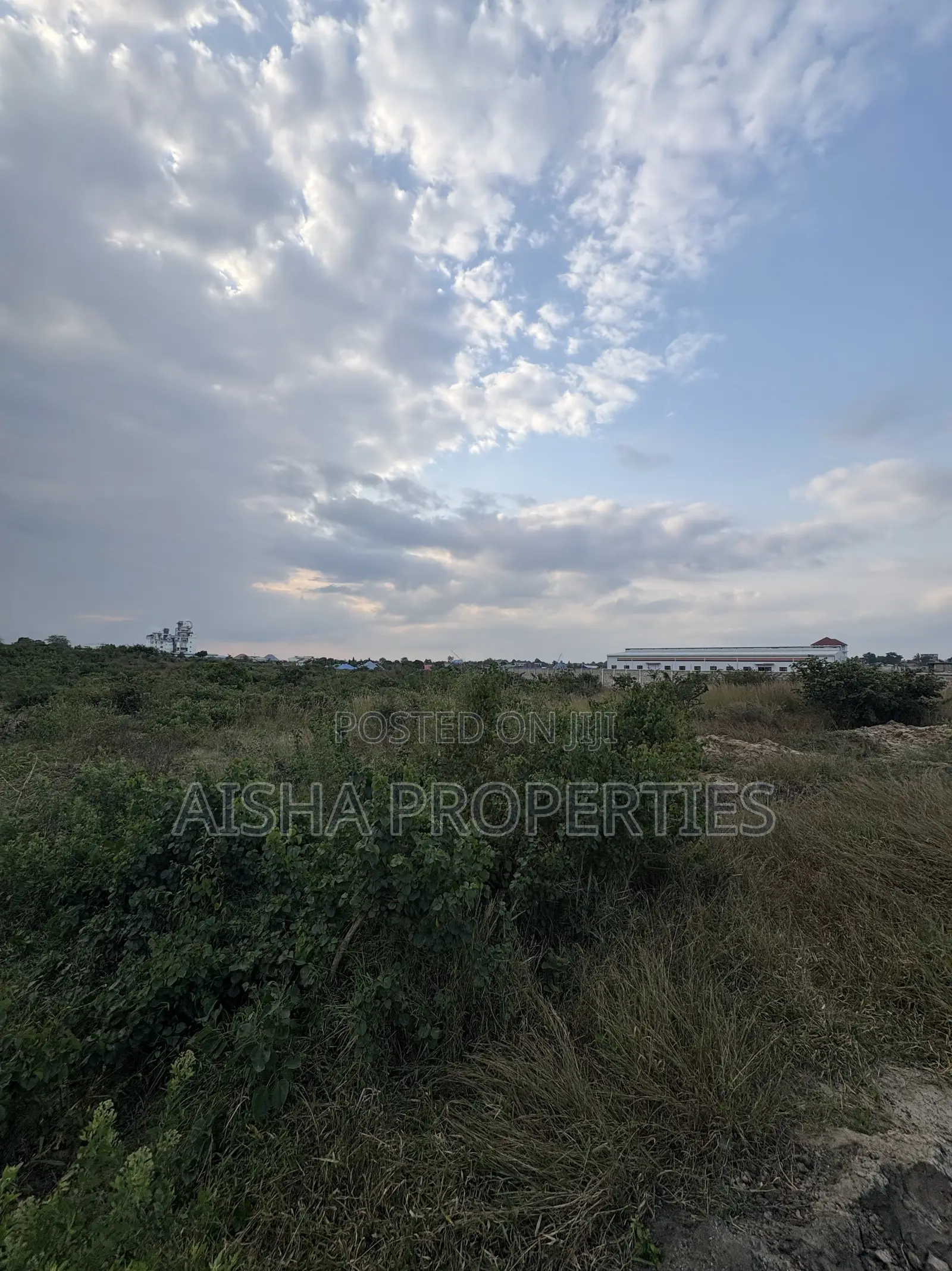 Plot for Sale