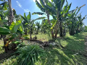 3hector Investment at Arusha Sangara