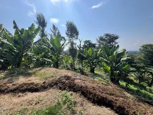 3hector Investment at Arusha Sangara