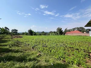 3hector Investment at Arusha Sangara