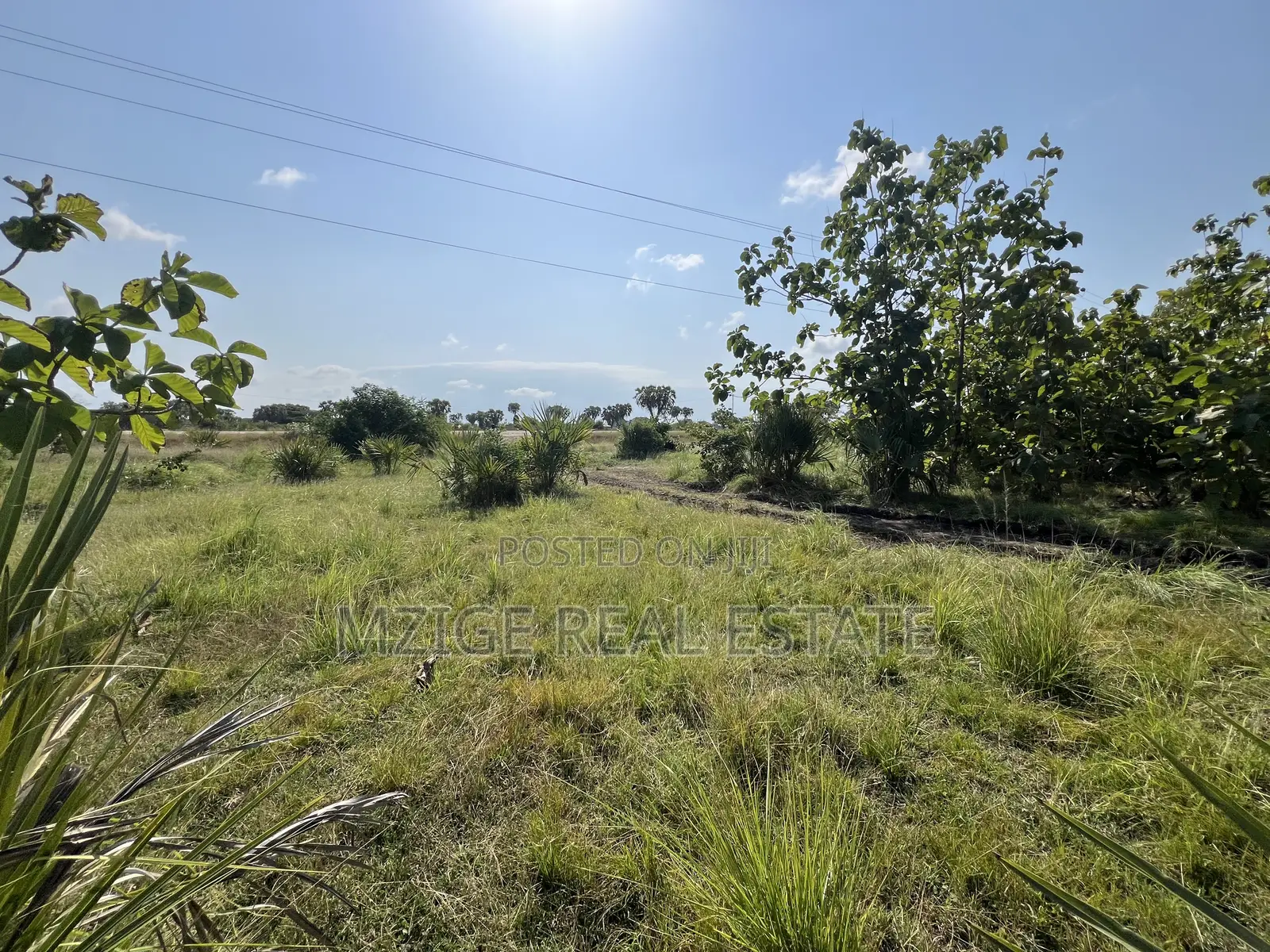 Petrol Station Plot Ekari 3 Imegusa Pangani Road Inauzwa Neema, Tanga