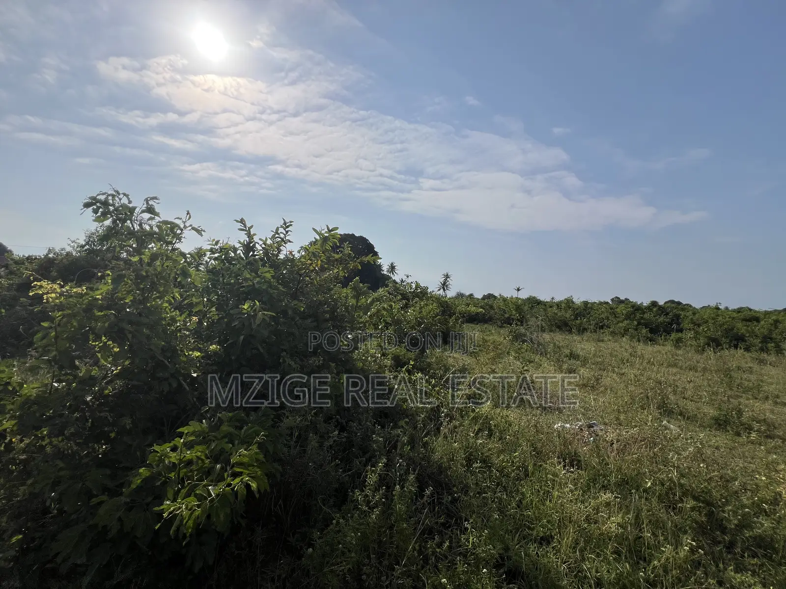 Prime Corner Plot for Sale in Mwambani, Tanga