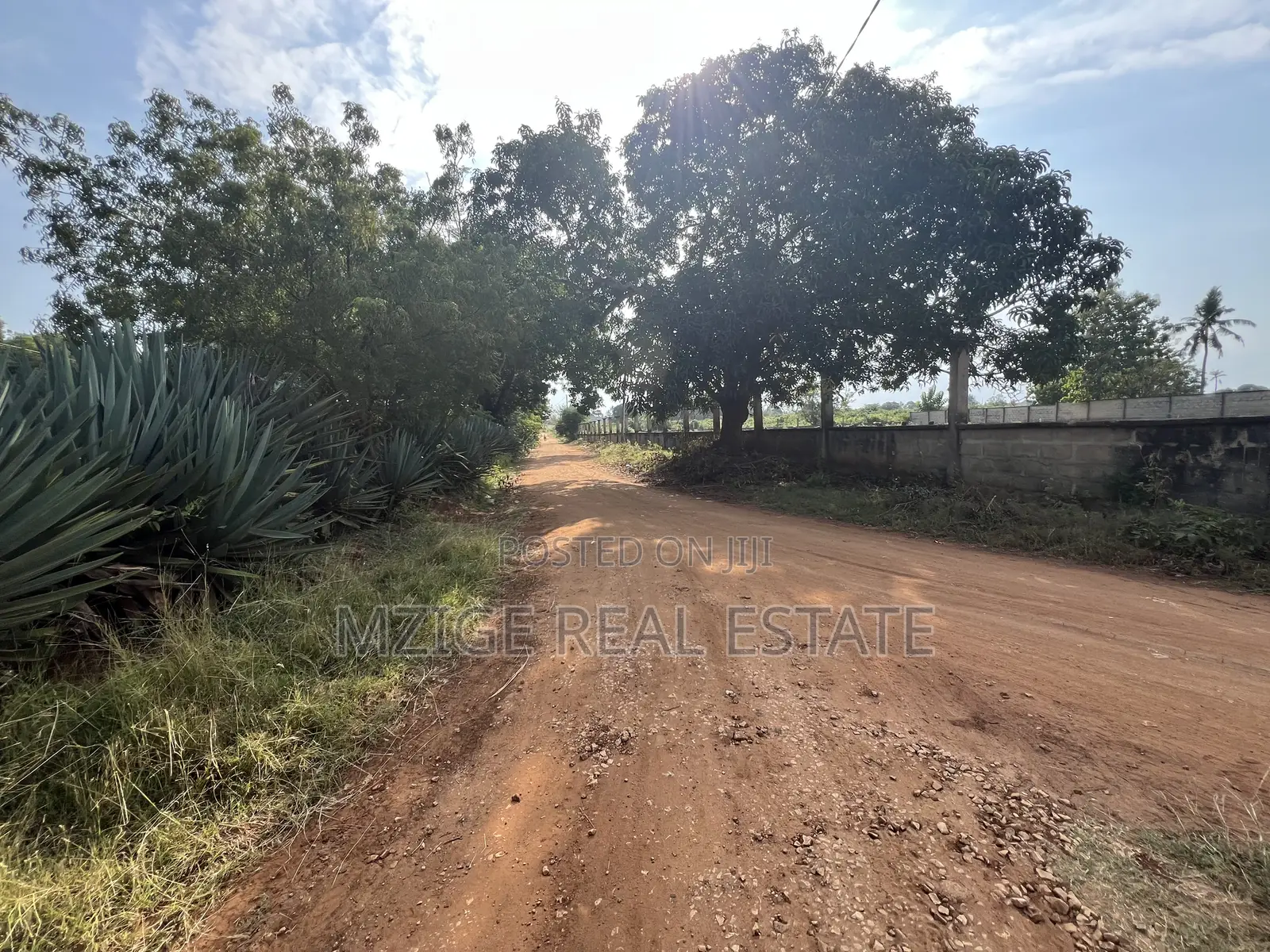 Prime Corner Plot for Sale in Mwambani, Tanga