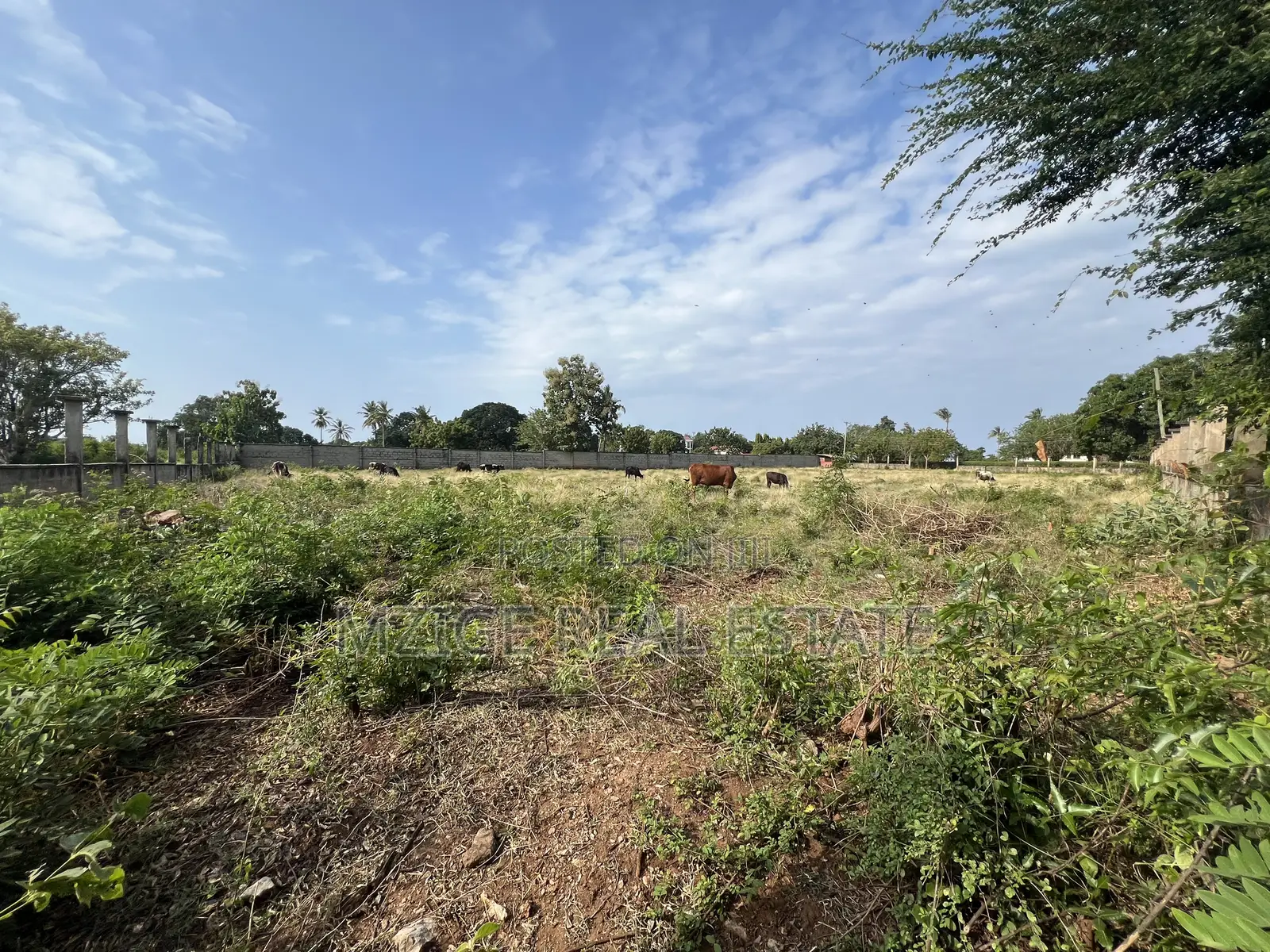 Prime Corner Plot for Sale in Mwambani, Tanga