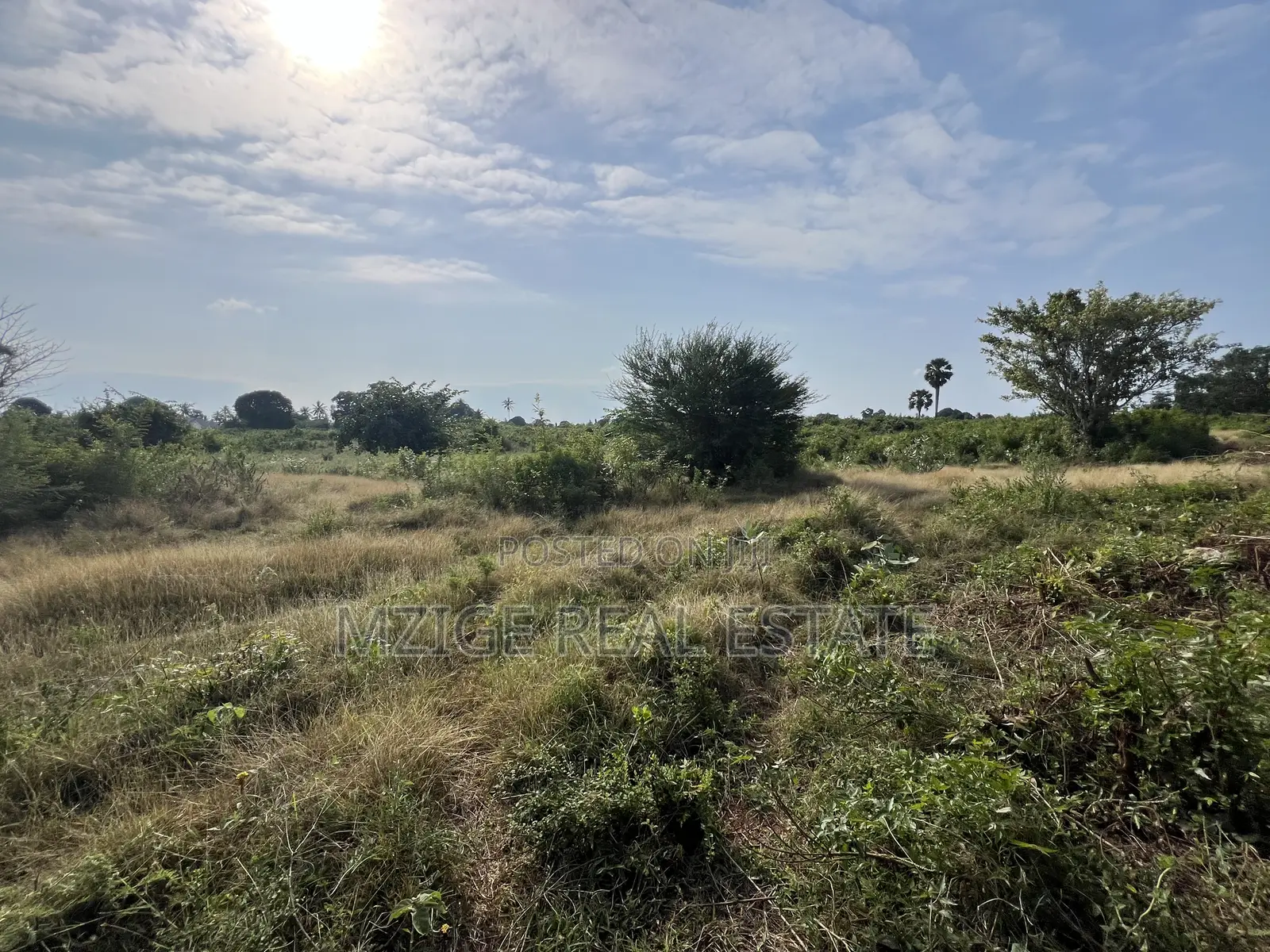 Prime Corner Plot for Sale in Mwambani, Tanga