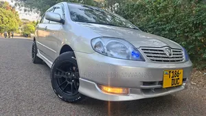 Toyota Allex 2004 Silver