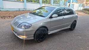 Toyota Allex 2004 Silver