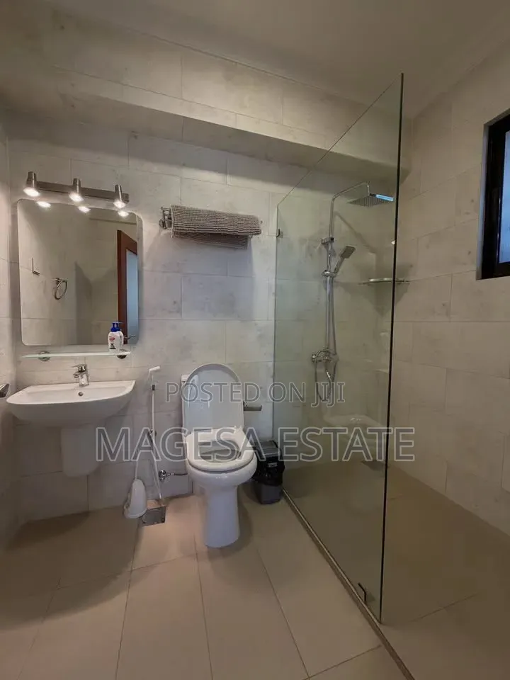 Furnished 3bdrm Apartment in Masaki for rent