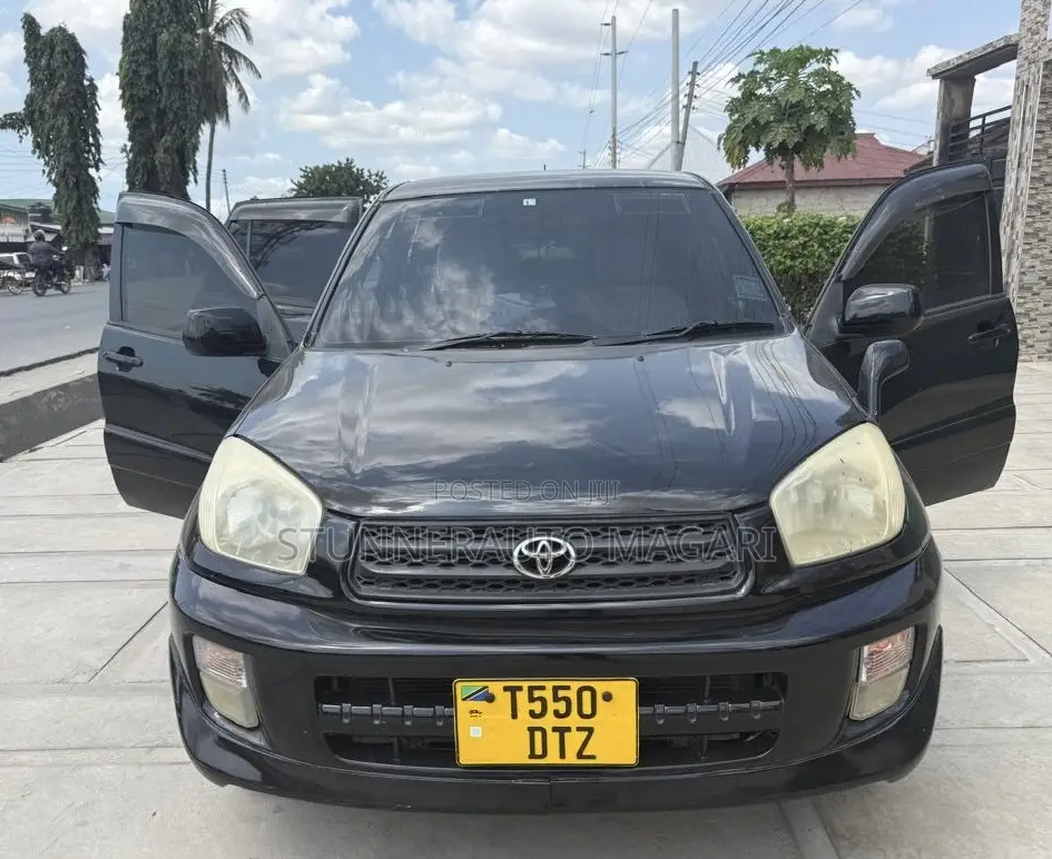 Toyota RAV4 2004 Black