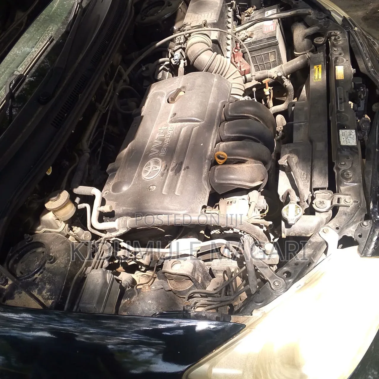 Toyota Corolla RunX 2005 Black