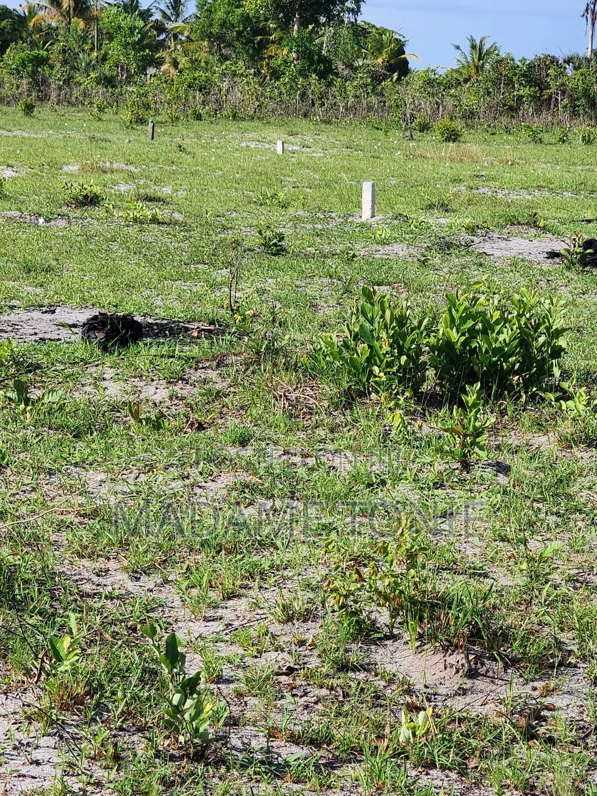 Viwanja Kigamboni Tundwi Songani, Malipo Miaka