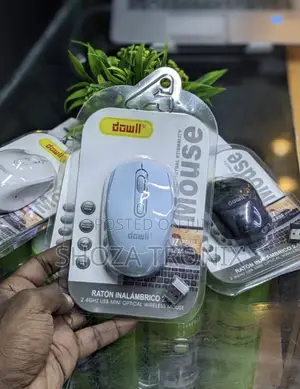 Wireless Mouse Dowll