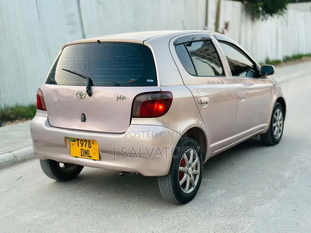 Toyota Vitz 2002 Pink