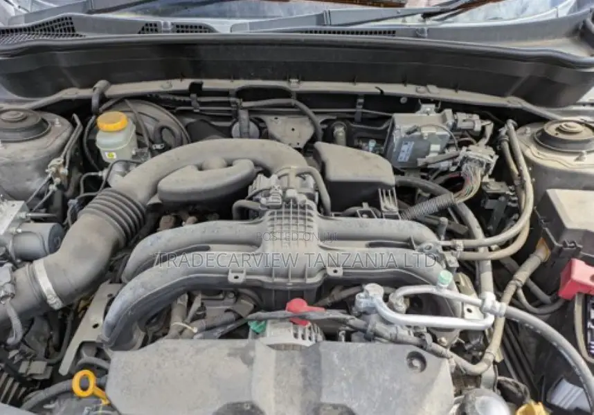 Subaru Forester 2012 Gray