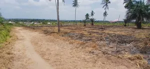Ofa Viwanja Vinauzwa Chanika Mvuti Mil 1,5