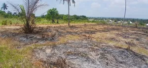 Ofa Viwanja Vinauzwa Chanika Mvuti Mil 1,5