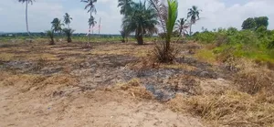 Ofa Viwanja Vinauzwa Chanika Mvuti Mil 1,5