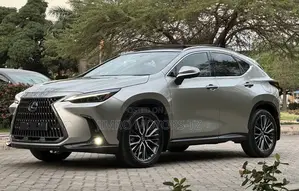Lexus NX 2022 Gray