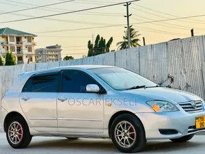 Toyota Allex 2005 Silver