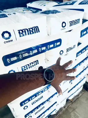 BNBM Wallputty