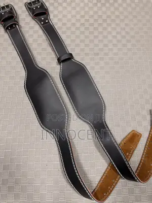 Weight Lifting Belt