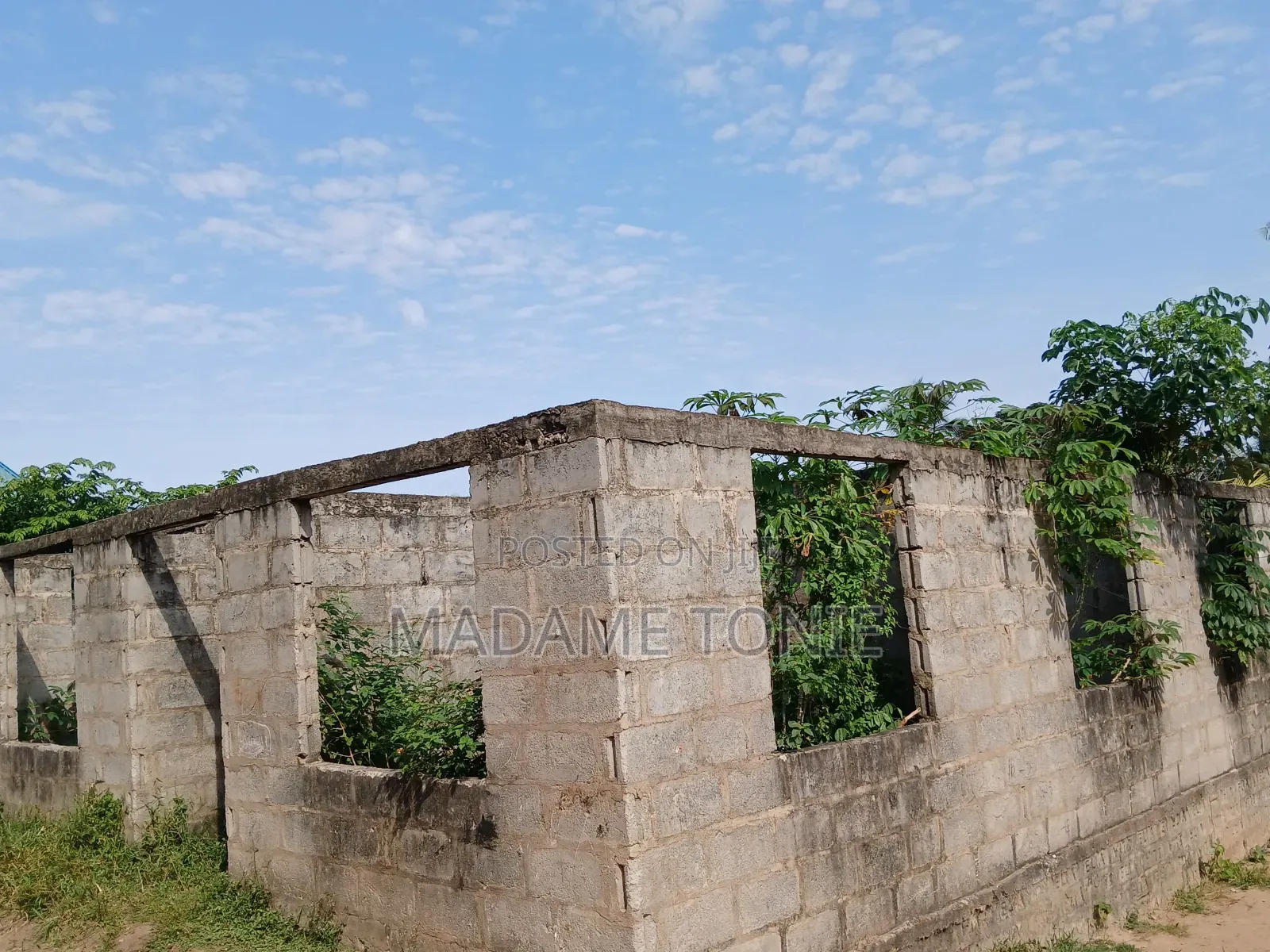 Boma Linauzwa Pugu Kona Dar, Bei