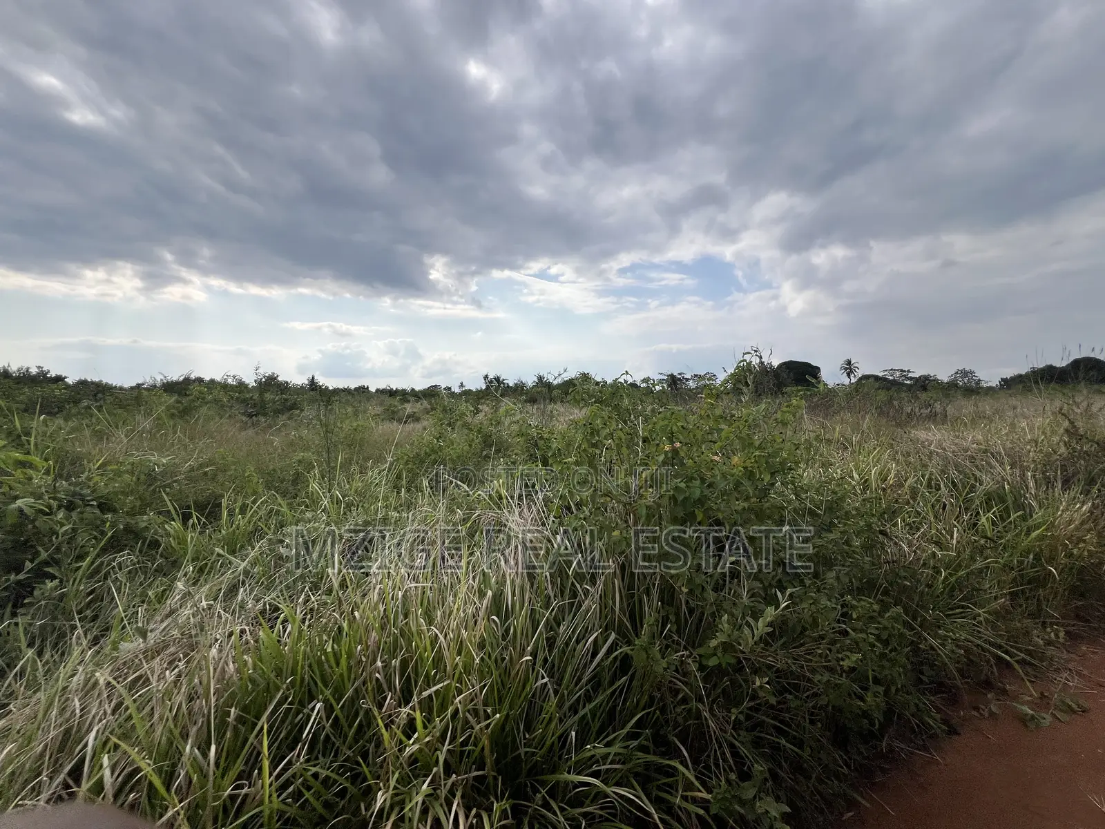 Premium Plot: 30 Acres in Kisarawe at an Unbeatable Price!