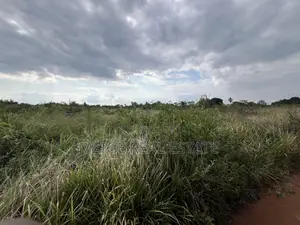 Premium Plot: 30 Acres in Kisarawe at an Unbeatable Price!