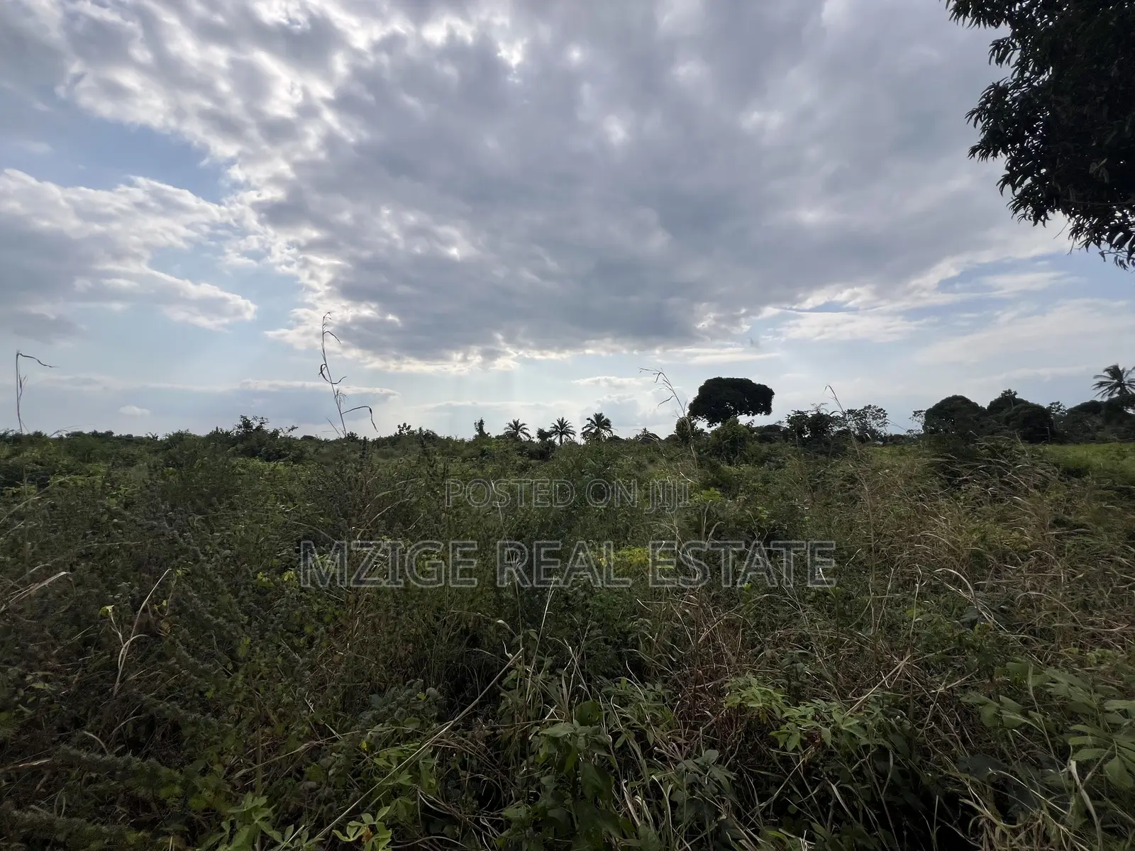 Premium Plot: 30 Acres in Kisarawe at an Unbeatable Price!