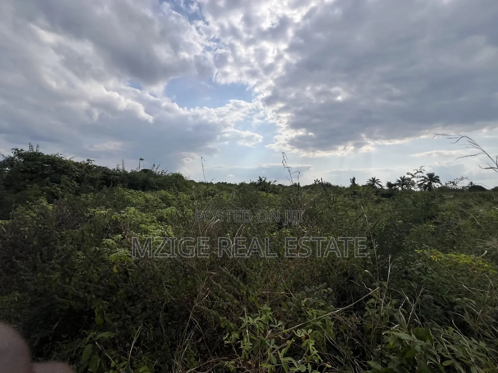 Premium Plot: 30 Acres in Kisarawe at an Unbeatable Price!