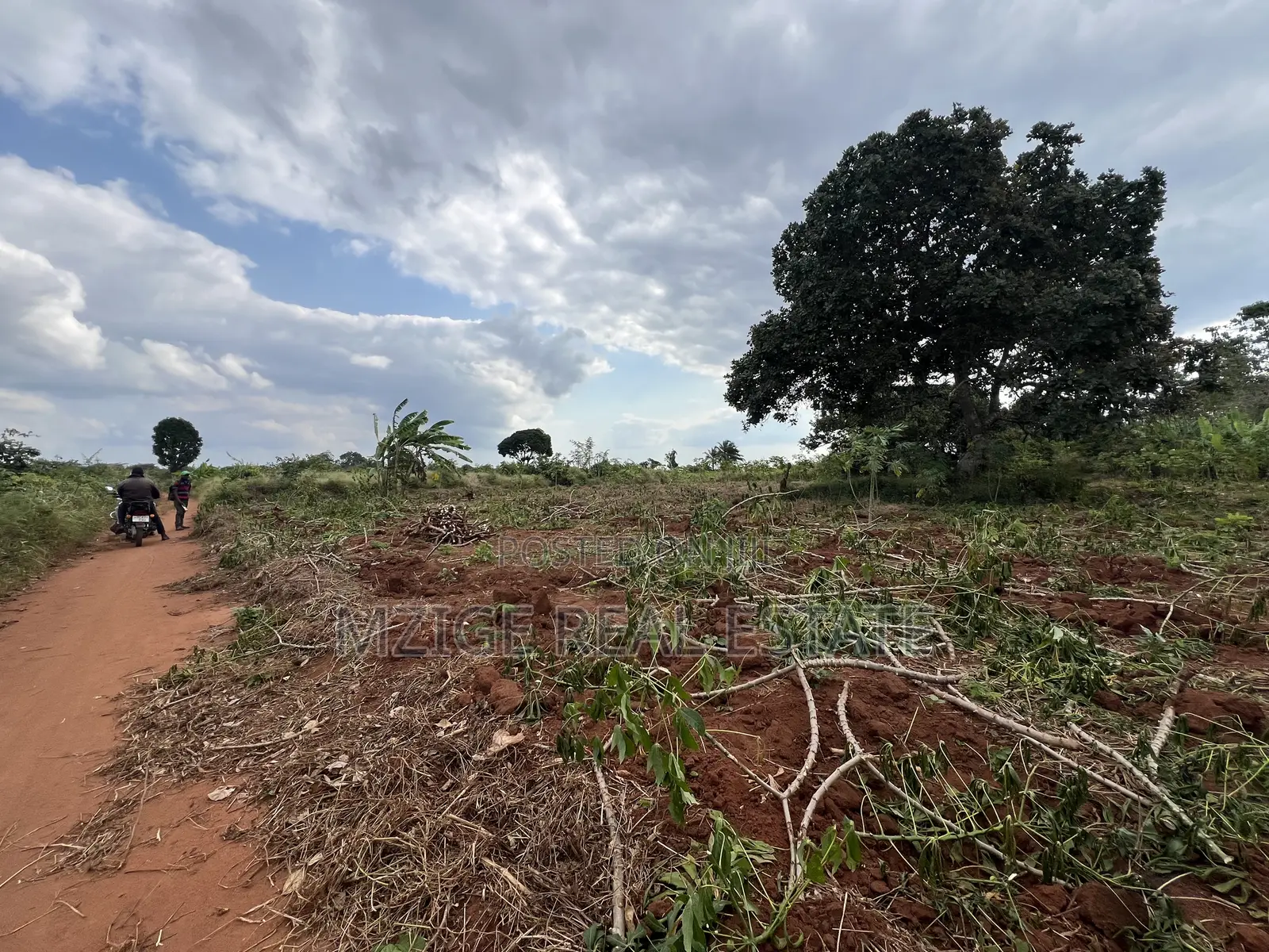 Premium Plot: 30 Acres in Kisarawe at an Unbeatable Price!