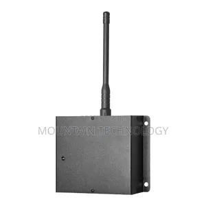 Mini Repeater
