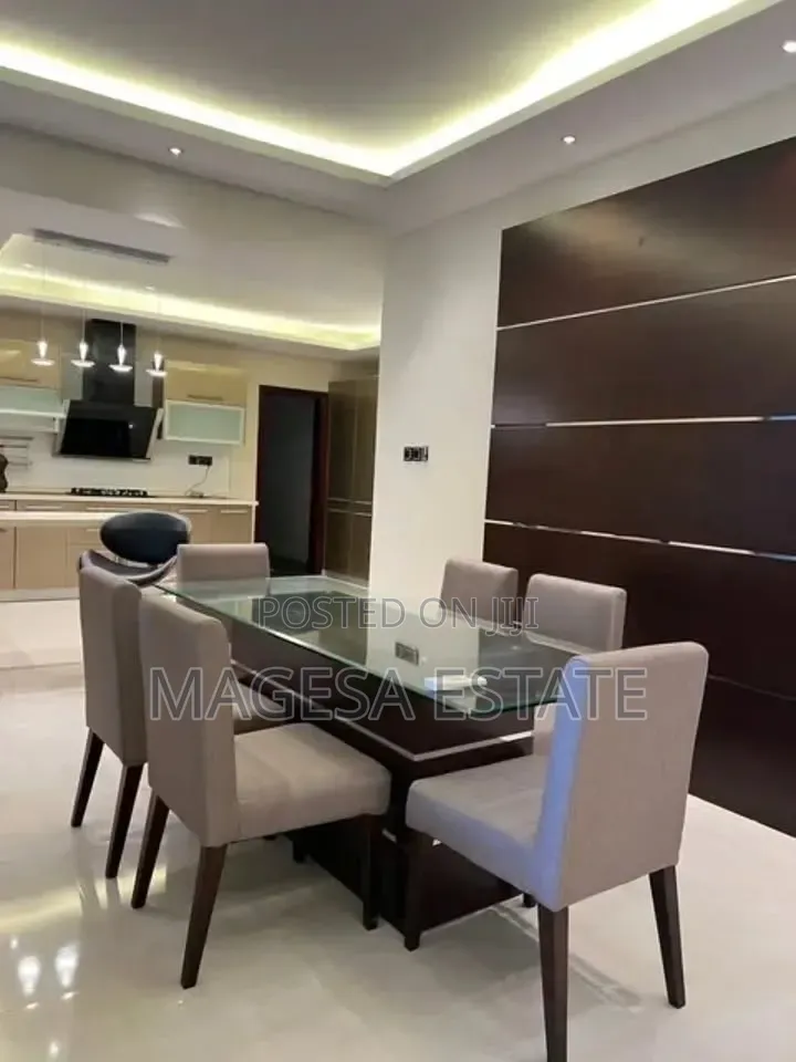 Furnished 4bdrm Apartment in Masaki for rent