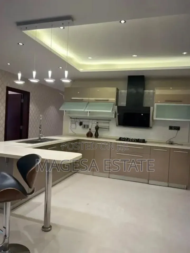 Furnished 4bdrm Apartment in Masaki for rent