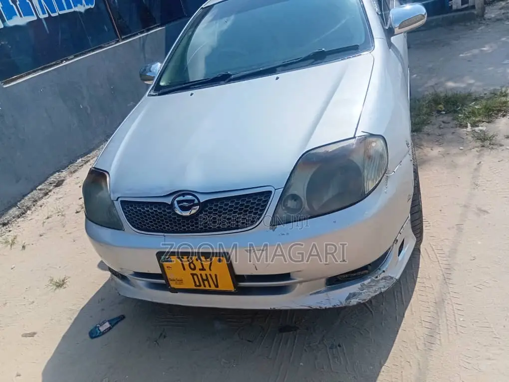 Toyota Corolla RunX 2003 Silver