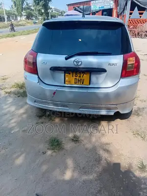 Toyota Corolla RunX 2003 Silver