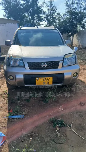 Nissan X-Trail 2004 Silver