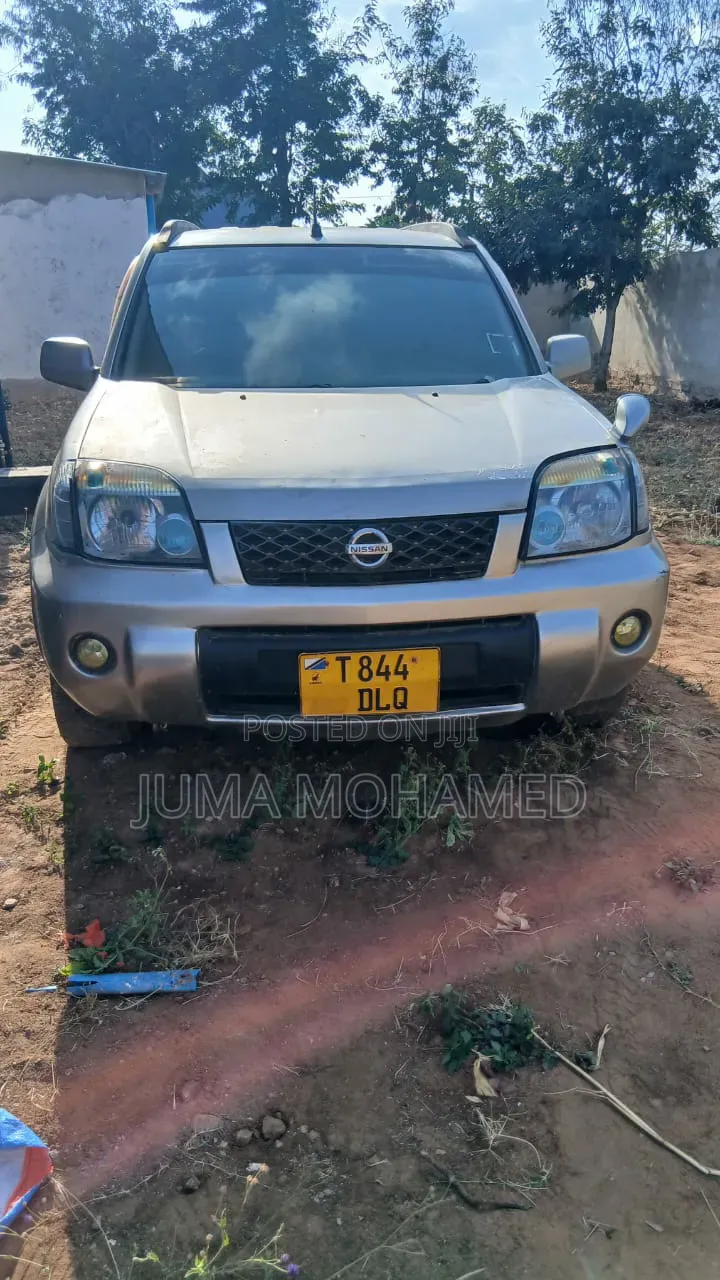 Nissan X-Trail 2004 Silver
