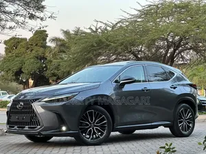 Lexus NX 2022