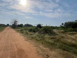BIG Plot With 8.5 Acres for Sale Located in Mwambani Tanga