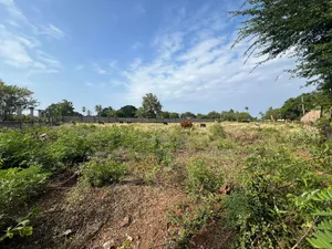 BIG Plot With 8.5 Acres for Sale Located in Mwambani Tanga