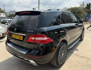 Mercedes-Benz M Class 2014 Black
