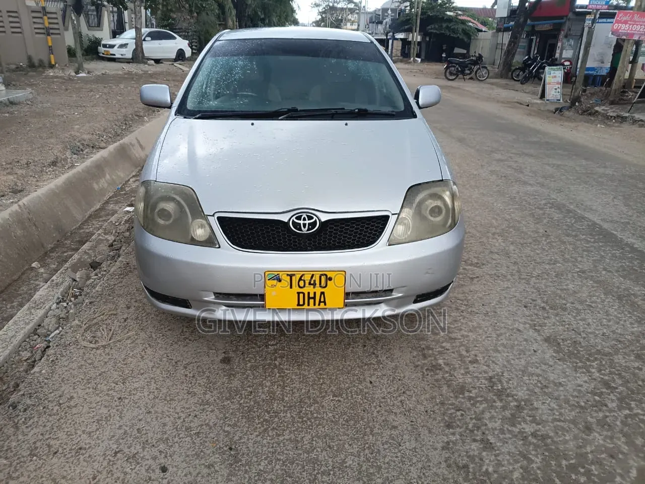 Toyota Allex 2006 Silver