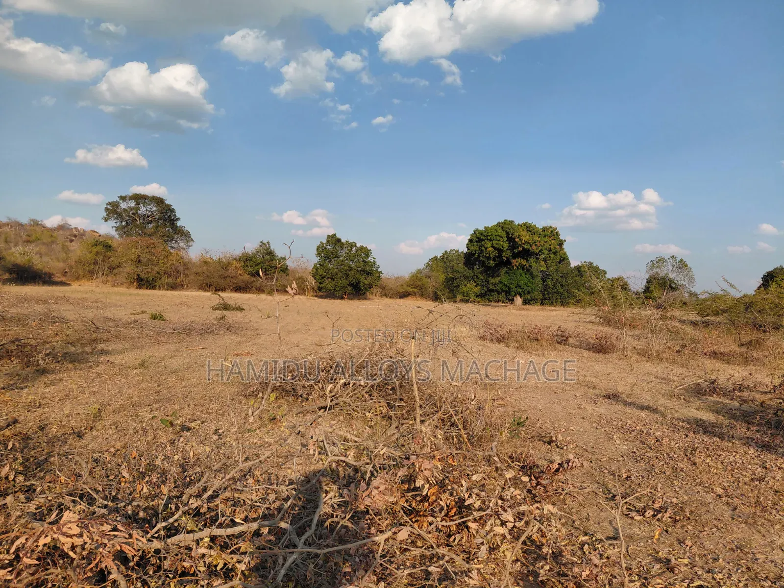 Shamba Ekari 17